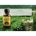 Where Is Tea Tree Oil In Walmart