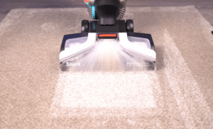 Difference Between Shark Carpet Cleaner Ex201 And Ex301
