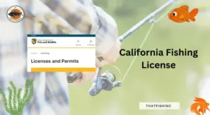 How Much For Fishing License At Walmart