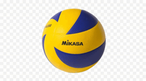 2006 Volleyball Massacre Png 2